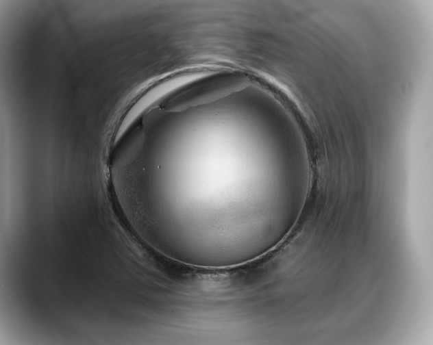 X0000088691363200705311149