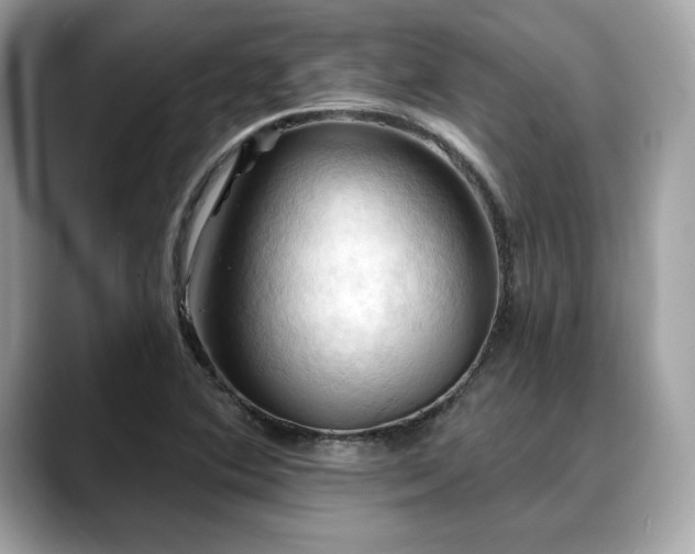 X0000088691364200705311149