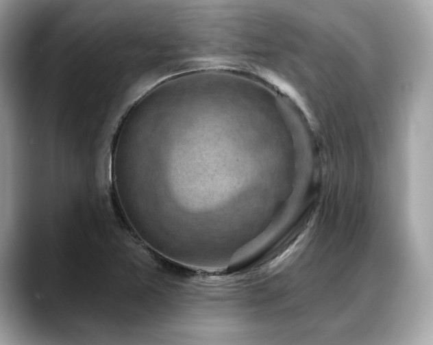 X0000088691365200705311149
