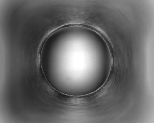 X0000088691366200705311149