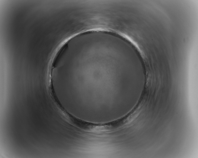 X0000088691367200705311149