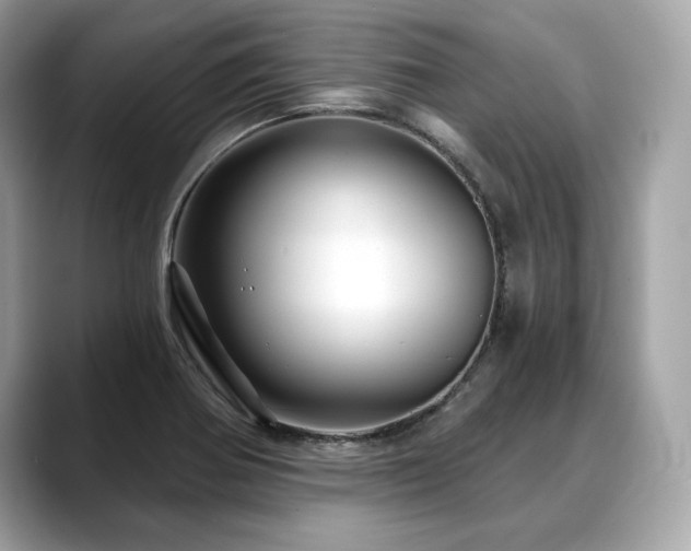 X0000088691370200705311149