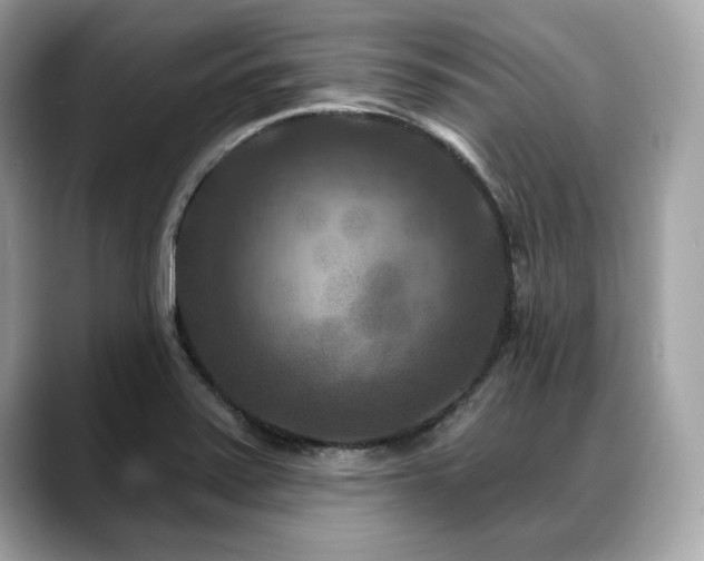 X0000088691371200705311149
