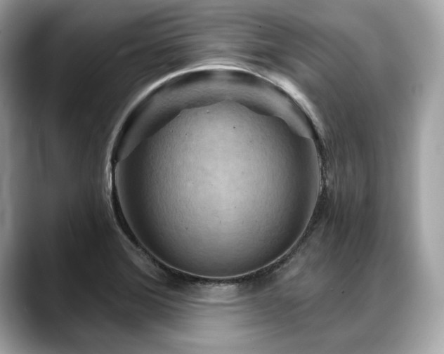 X0000088691372200705311149