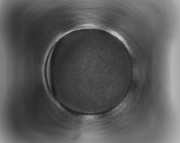X0000088691373200705311149