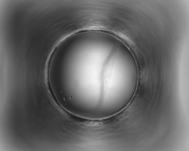 X0000088691374200705311149