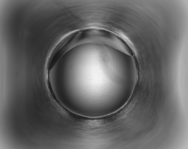 X0000088691376200705311149