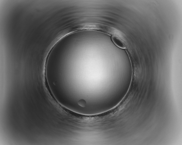 X0000088691378200705311149
