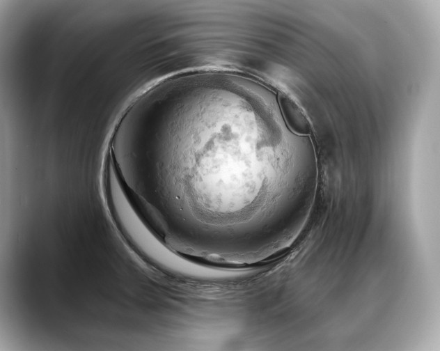 X0000088691379200705311149