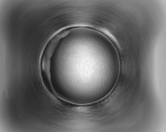 X0000088691380200705311149