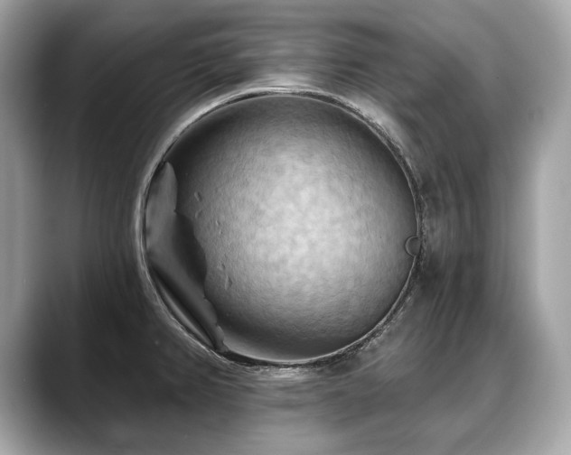 X0000088691382200705311149