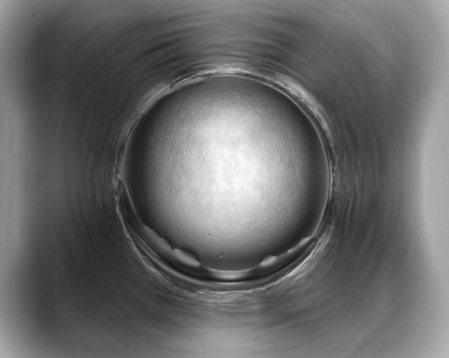 X0000088691385200705311148