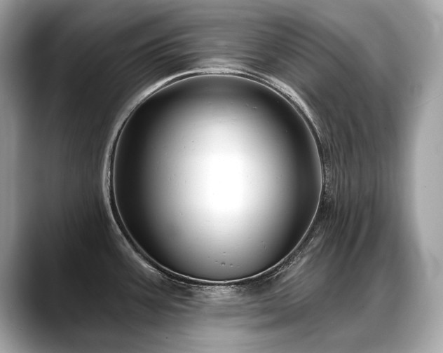 X0000088691387200705311148
