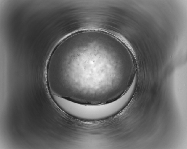 X0000088691388200705311148