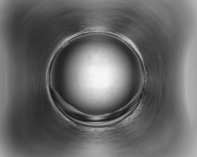 X0000088691389200705311148