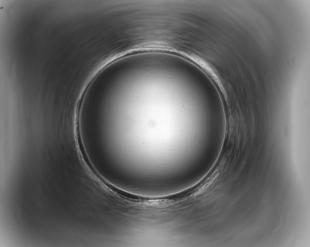 X0000088691390200705311148