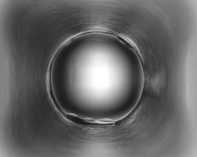 X0000088691391200705311148