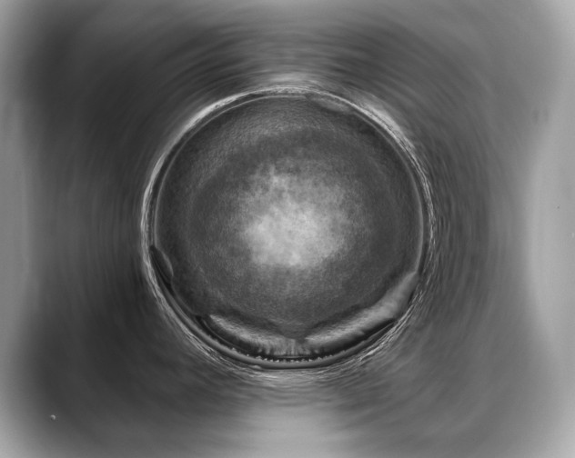 X0000088691392200705311148