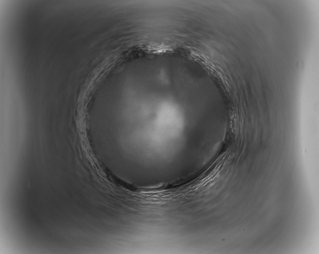 X0000088691393200705311148