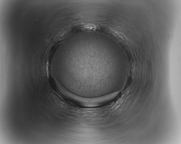 X0000088691394200705311148