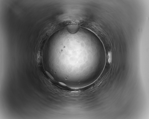 X0000088691395200705311148