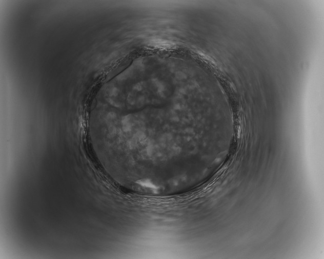 X0000088691397200705311148