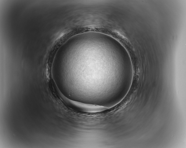 X0000088691398200705311148
