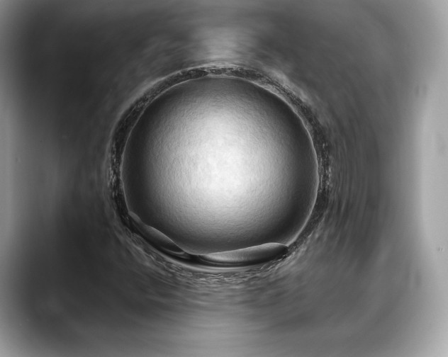 X0000088691400200705311148