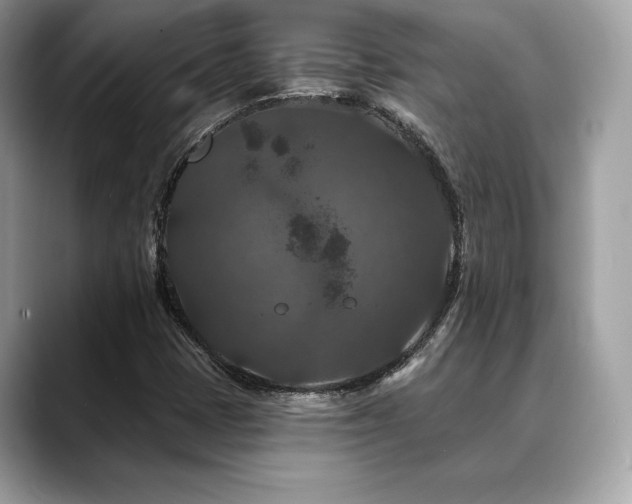 X0000088691401200705311148