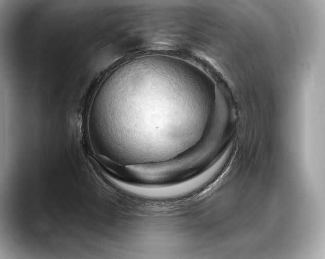 X0000088691402200705311148