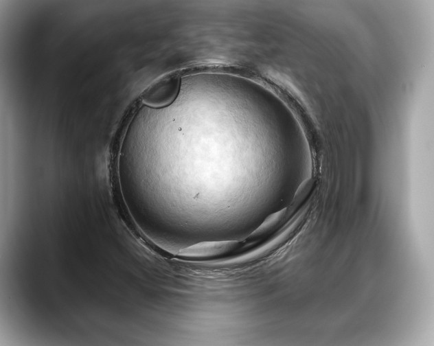 X0000088691404200705311148