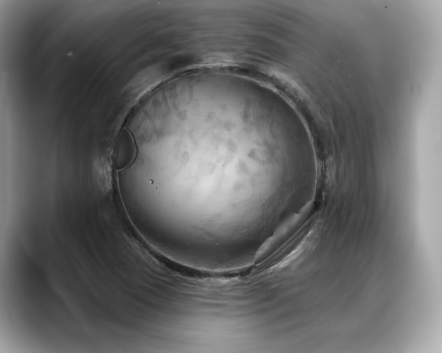 X0000088691409200705311148