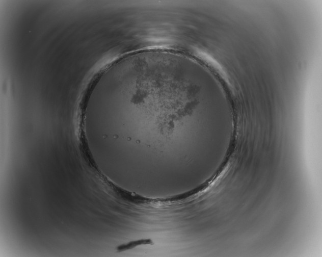 X0000088691411200705311148