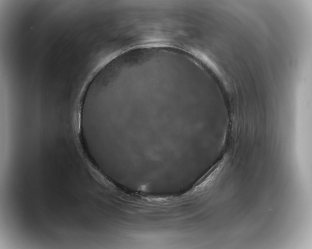 X0000088691413200705311148