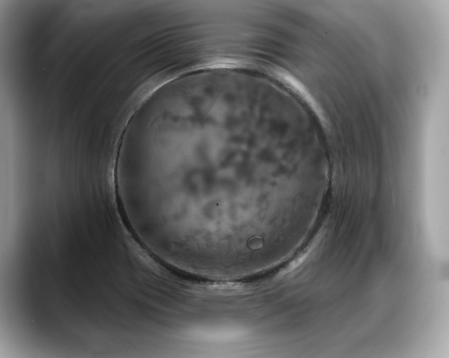 X0000088691417200705311148