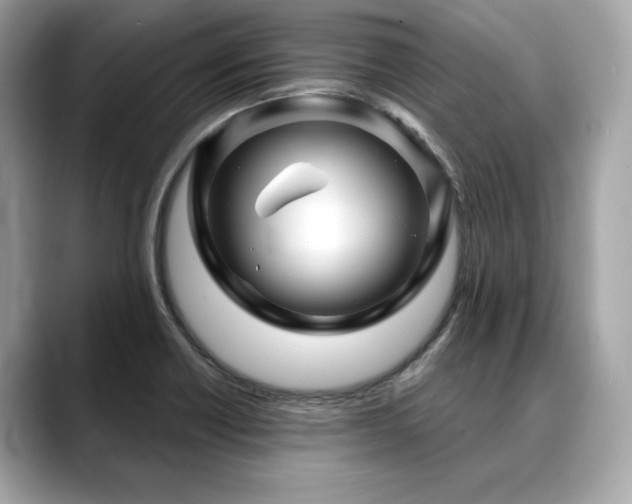 X0000088691418200705311148