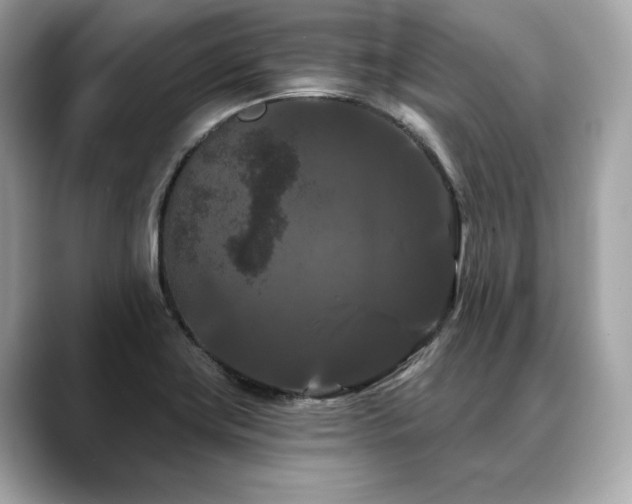 X0000088691419200705311148