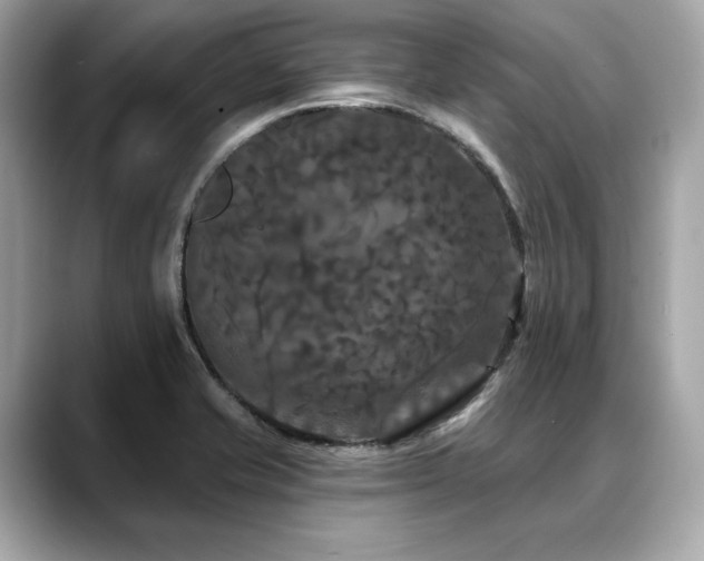X0000088691421200705311148