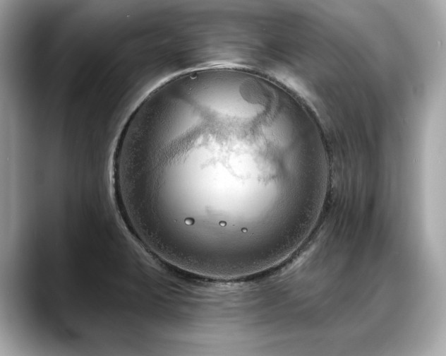 X0000088691423200705311148