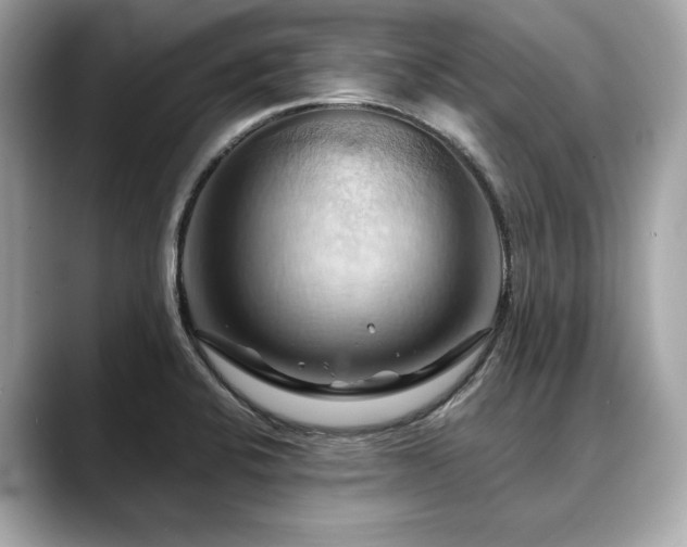 X0000088691424200705311148