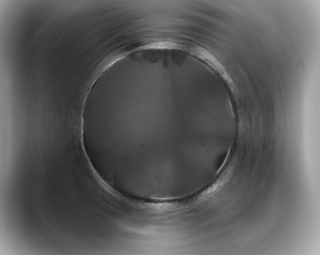 X0000088691425200705311148