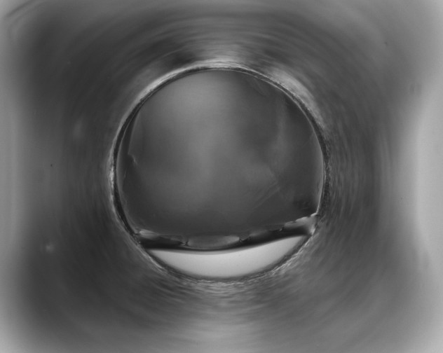 X0000088691428200705311148