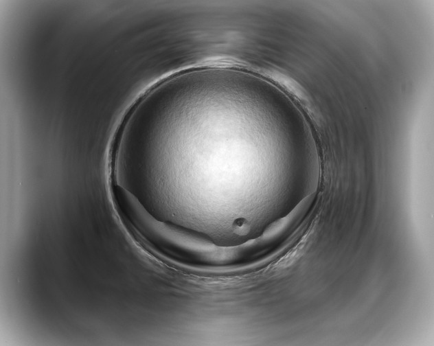X0000088691430200705311148