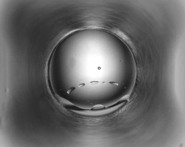 X0000088691431200705311148