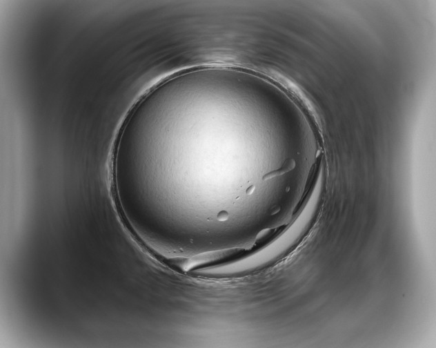 X0000088691432200705311148