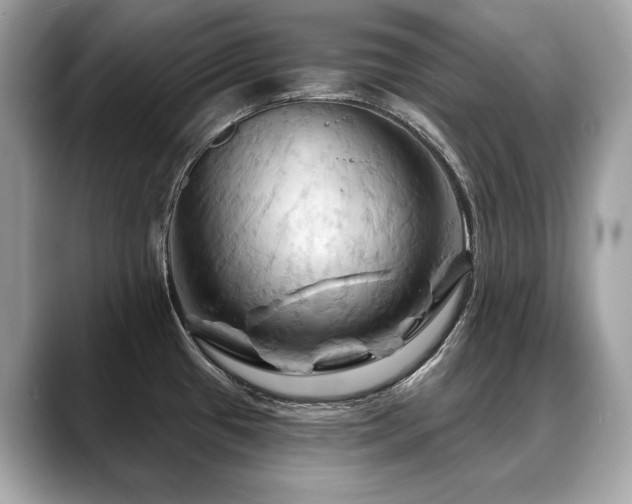 X0000088691433200705311148