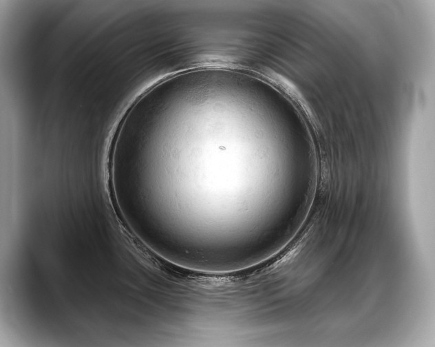 X0000088691435200705311148