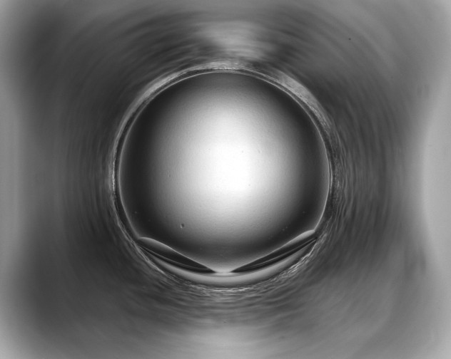 X0000088691436200705311148