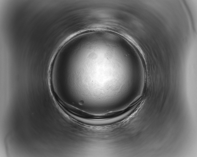 X0000088691437200705311148