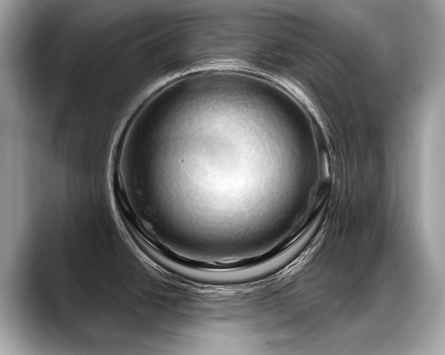 X0000088691438200705311148